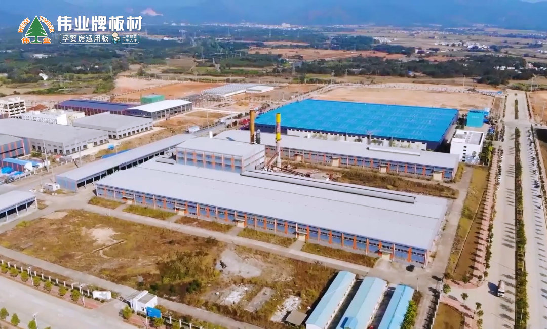 12月 設(shè)立偉業(yè)牌板材韶關(guān)分公司.jpg